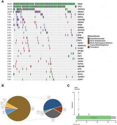 Molecular Landscape and Prognostic Biomarker Analysis of Advanced Pancreatic Cancer and Predictors of Treatment Efficacy of AG Chemotherapy